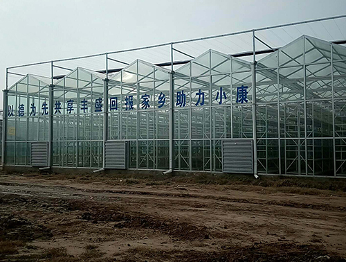 肇庆蔬菜大棚供暖